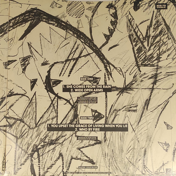 The Weather Prophets - She Comes From The Rain | Elevation (ACID 1TX) - main The Weather Prophets - She Comes From The Rain | Elevation (ACID 1TX) - main