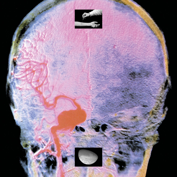 Upsammy - Branches on Ice | Die Orakel (ORKL-13)