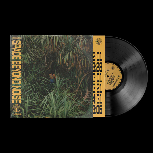 not even noticed - space beyond noise | Tartelet Records (TARTALB029) - 4
