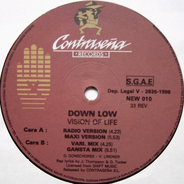 Down Low - Vision Of Life | New (NEW-010) - 2
