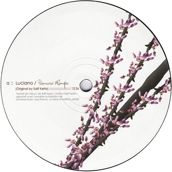 Luciano - Yamoré Remix | Cadenza (CAD09) - 3