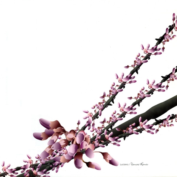 Luciano - Yamoré Remix | Cadenza (CAD09) - main