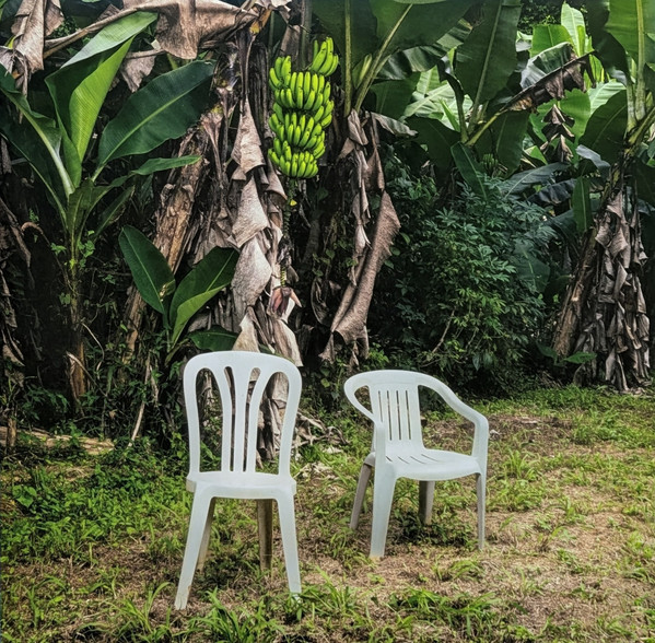 Bad Bunny - Debí Tirar Más Fotos | Rimas Entertainment (0199806106600) - main