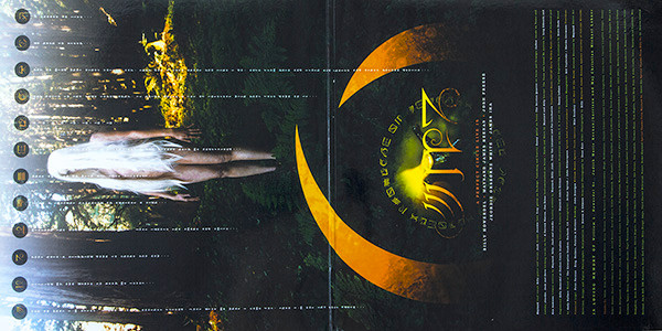 A Perfect Circle - Thirteenth Step | Music On Vinyl (MOVLP1114) - 3