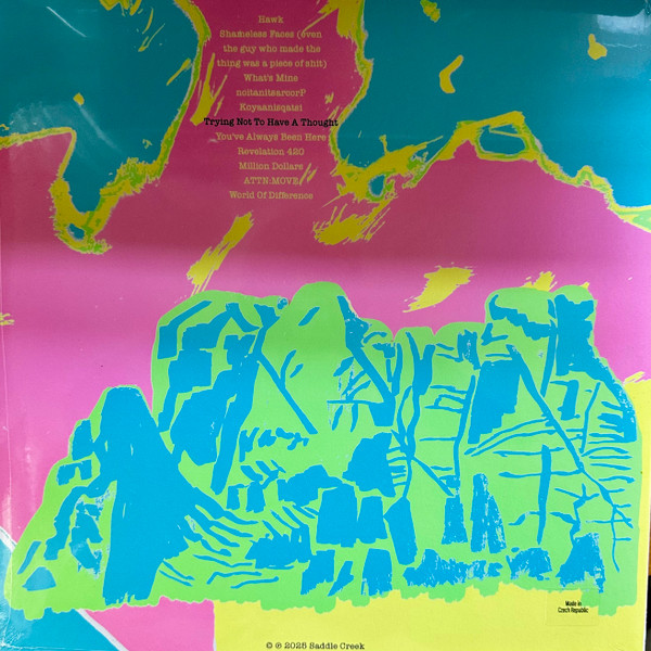 Algernon Cadwallader - Trying Not To Have A Thought | Saddle Creek (LBJ-400-11) - 2