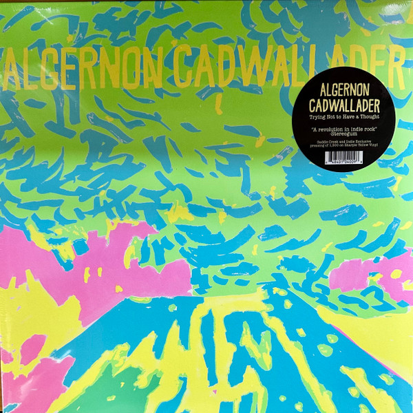 Algernon Cadwallader - Trying Not To Have A Thought | Saddle Creek (LBJ-400-11)