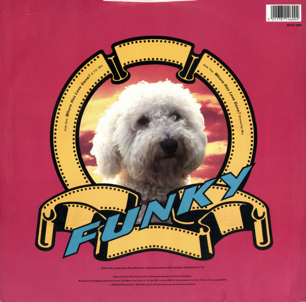 Holly Johnson - Where Has Love Gone? (Remix) | MCA Records (MCAX 1460)