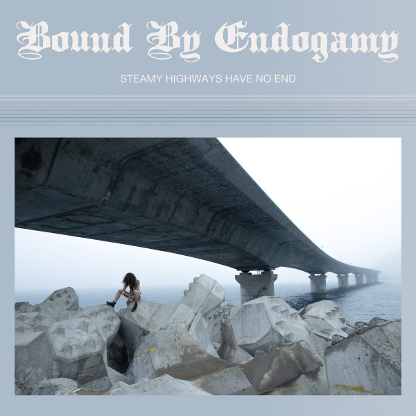Bound By Endogamy - Steamy Highways Have No End | Pinkman (PNKMN060) - main