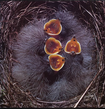 Bleach - Eclipse E.P. | Way Cool Records (WAY 8) Bleach - Eclipse E.P. | Way Cool Records (WAY 8)