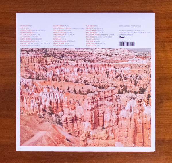 Dan Deacon - America | Domino (DNO319) Dan Deacon - America | Domino (DNO319)