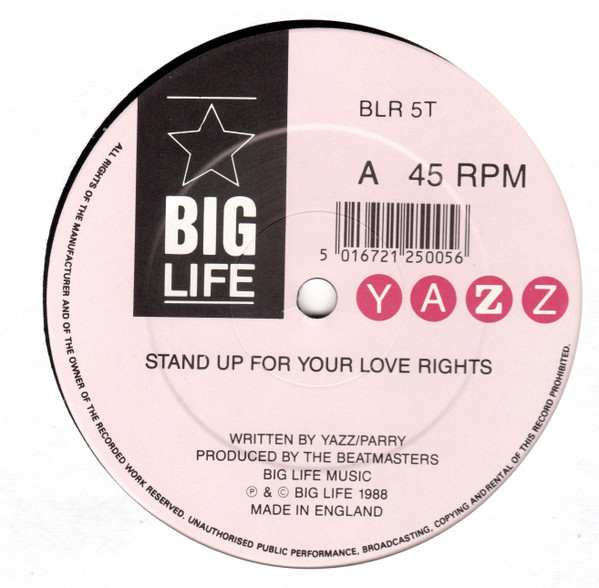 Yazz - Stand Up For Your Love Rights | Big Life (BLR 5T)