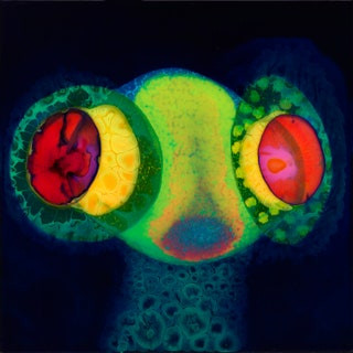 Osees - SORCS 80 | Castle Face Records (CF 151) - main