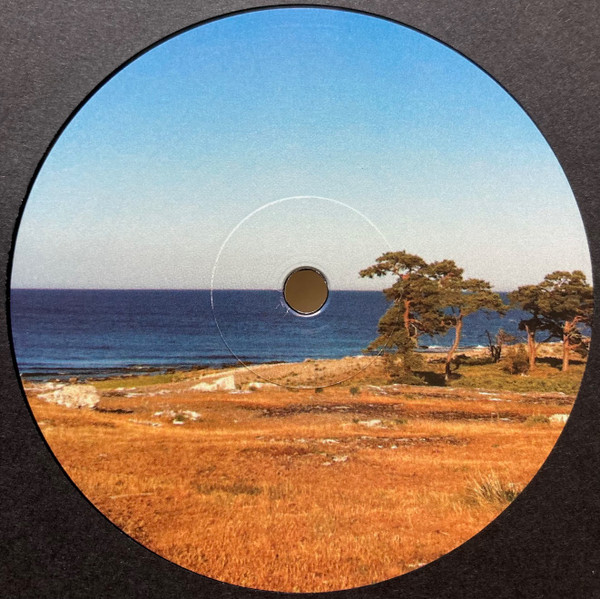 Various - Back Yard Impressions | Junk Yard Connections (JYC-003) - main Various - Back Yard Impressions | Junk Yard Connections (JYC-003) - main