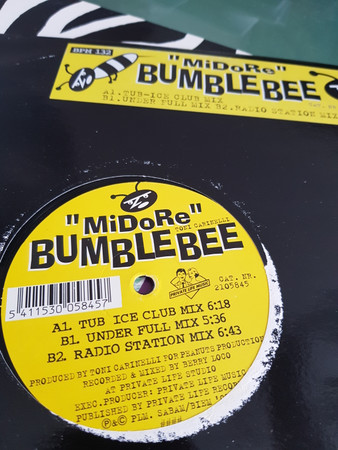 Midore - Bumblebee | Private Life Music (2105845) - main