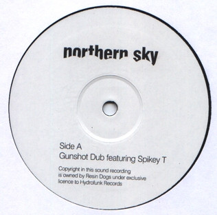 Resin Dogs - Gunshot Dub | Northern Sky (NSRD 003) - 2