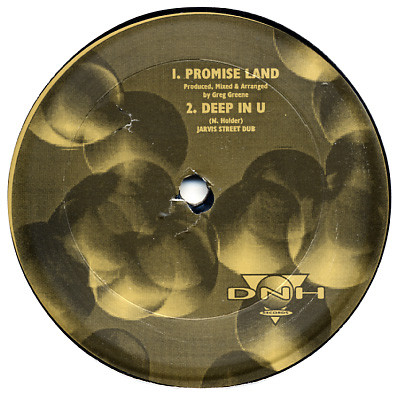 Trackheadz - Deep In U | DNH Records (DNH-033) - 2