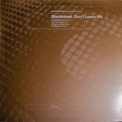 Blackstreet - Don't Leave Me / No Diggity | Universal Records (WINT 95534)