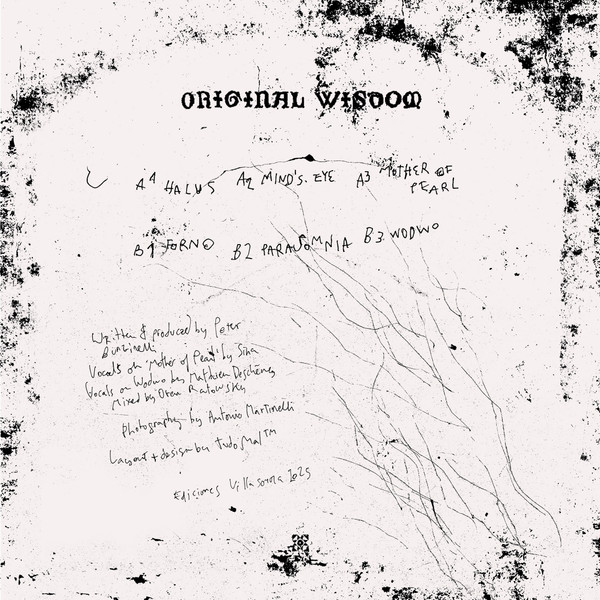 Bunzinelli - Original Wisdom | Ediciones Villasonora (EDVI003) - 2