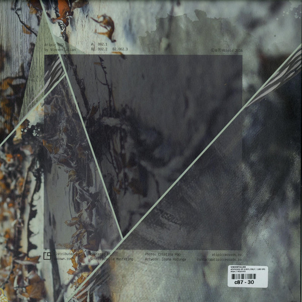 VincentIulian - Atipic 002 | Atipic (Atipic 002) - 2