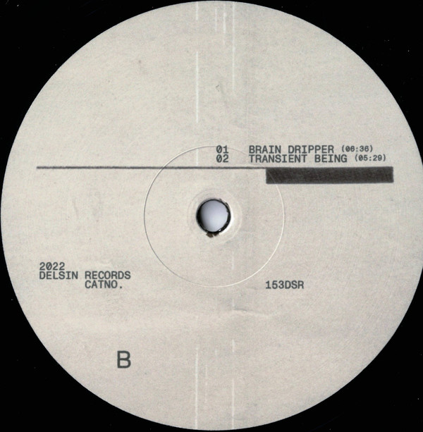 Artefakt - Brain Dripper EP | Delsin (153DSR) - 3