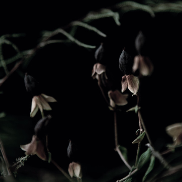 Foehn & Jerome , The Unwanted - UNTLD099 | Untitled 100 (UNTLD099)