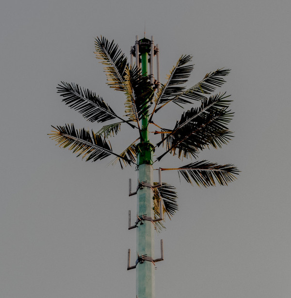 DJ Balduin - Concrete Mimosa | Kann Records (KANN46)