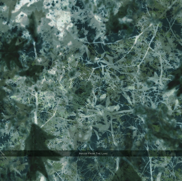 Voices From The Lake - Voices From The Lake | Spazio Disponibile (Spazio 025) - main