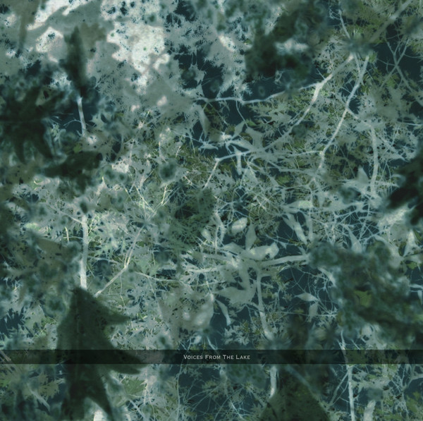 Voices From The Lake - Voices From The Lake | Spazio Disponibile (Spazio 025)