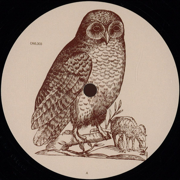 Unknown Artist - Untitled | Owl (OWL003) - main