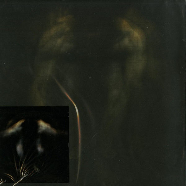 Sunny Charles - DLNOIW: The Remixes | Sleep Is Commercial (SIC018)