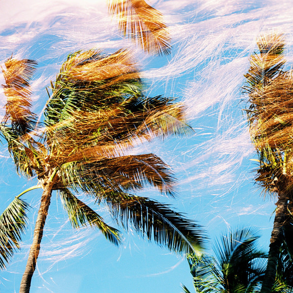 King Sweet - Les Douceurs du Roi | Crême brulée records (CBR 002) - main