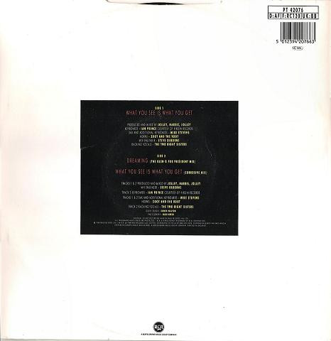 Glen Goldsmith - What You See Is What You Get | RCA (PT 42076)