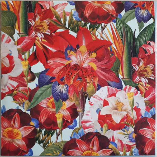 Maribou State - Kingdoms In Colour | Counter Records (COUNT156) - 3