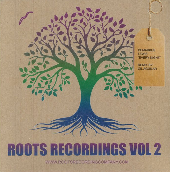 Demarkus Lewis - Roots Recordings Vol 2: Every Night | Root Recordings (ROOTS 002) Demarkus Lewis - Roots Recordings Vol 2: Every Night | Root Recordings (ROOTS 002)