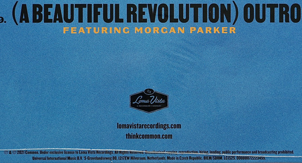 A Beautiful Revolution (Pt 1)