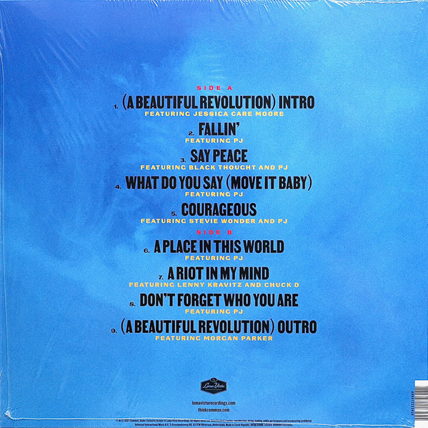 A Beautiful Revolution (Pt 1)