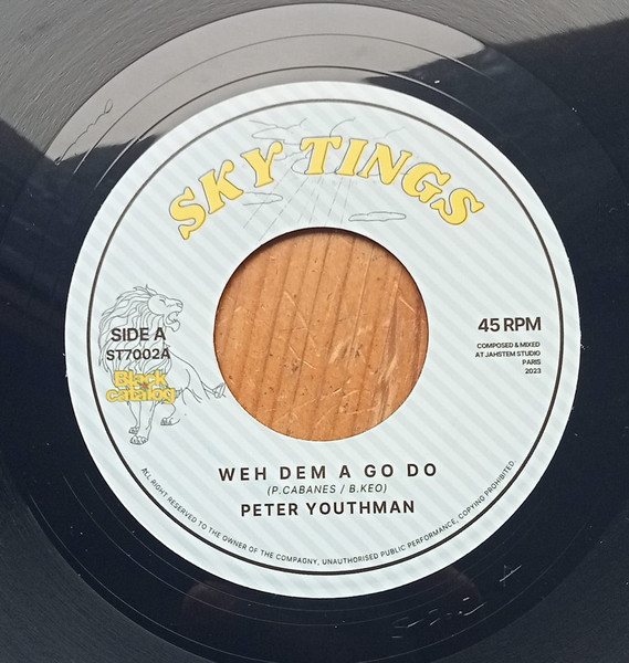 Peter Youthman - Weh Dem A Go Do | SKY TINGS (ST7002)