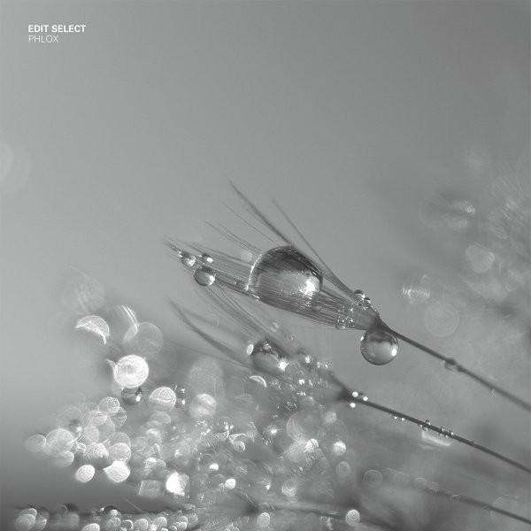 Edit Select - Phlox | Prologue (PRGLP006)