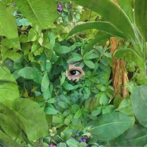 Mari Sekine = Mari Sekine - Beginning | EM Records (EM1182TEP)