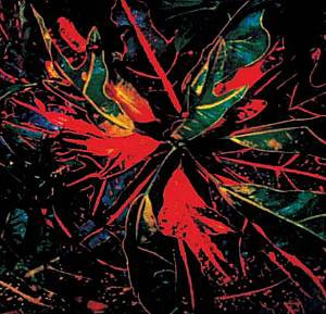 Jay Daniel - Karmatic Equations | Wild Oats (WOJD01)