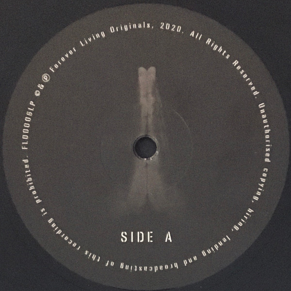 Sault - Untitled (Rise) | Forever Living Originals (FL00006LP) - 4