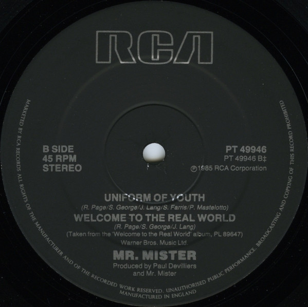 Mr. Mister - Broken Wings | RCA (PT 49946) - 2