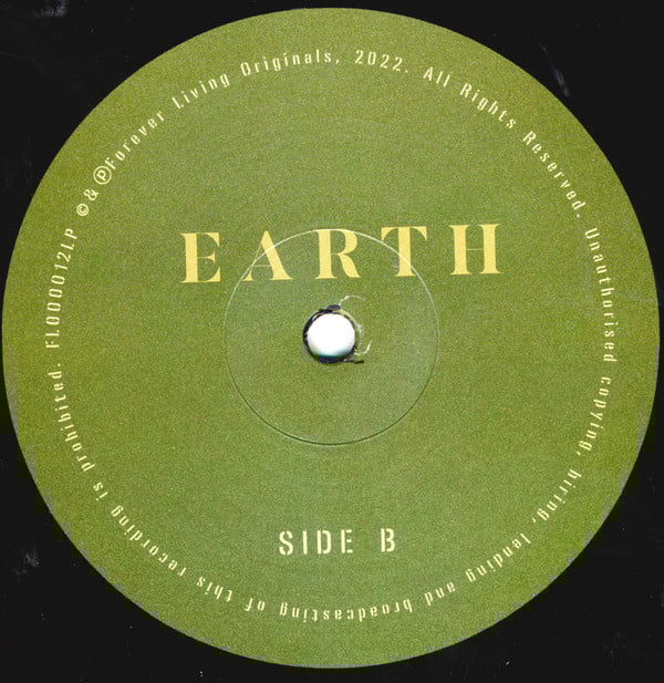 Sault - Earth | Forever Living Originals (FLO0012LP) - 2