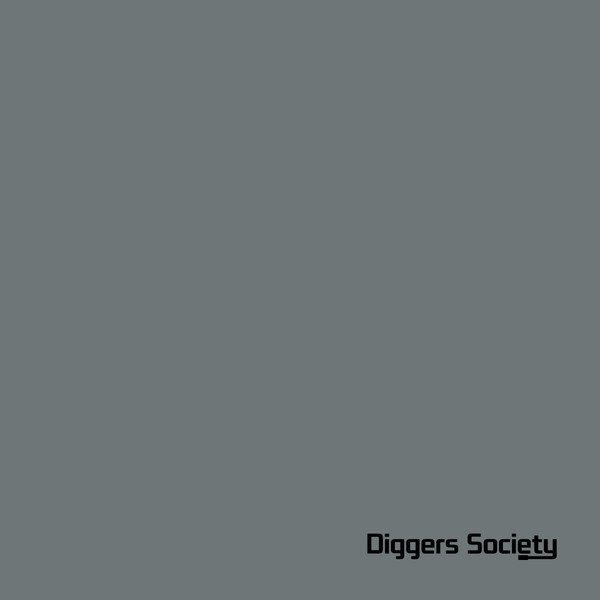 The Analogue Cops - CH In A Gypsy World | Diggers Society Records (DGSC-5)