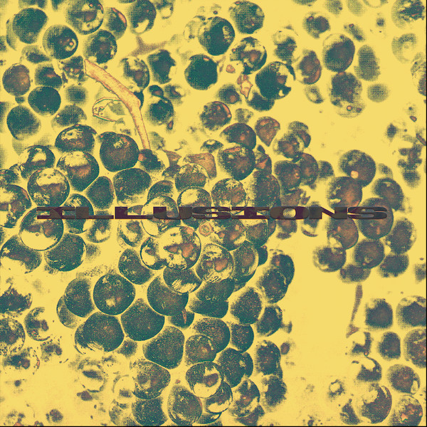 Alpine DJ - ILLUSIONS | GRAPE CITY RECORDS (GRAPE001) Alpine DJ - ILLUSIONS | GRAPE CITY RECORDS (GRAPE001)