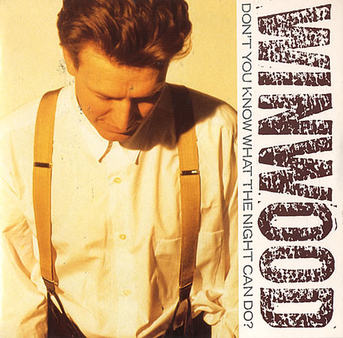 Steve Winwood - Don't You Know What The Night Can Do? | Virgin (VIN 45286)