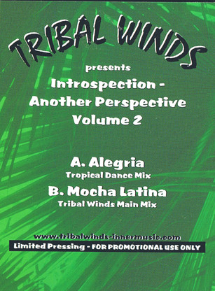 Antonio Ocasio - Introspection - Another Perspective Volume 2 | Tribal Winds (TW019) - 3