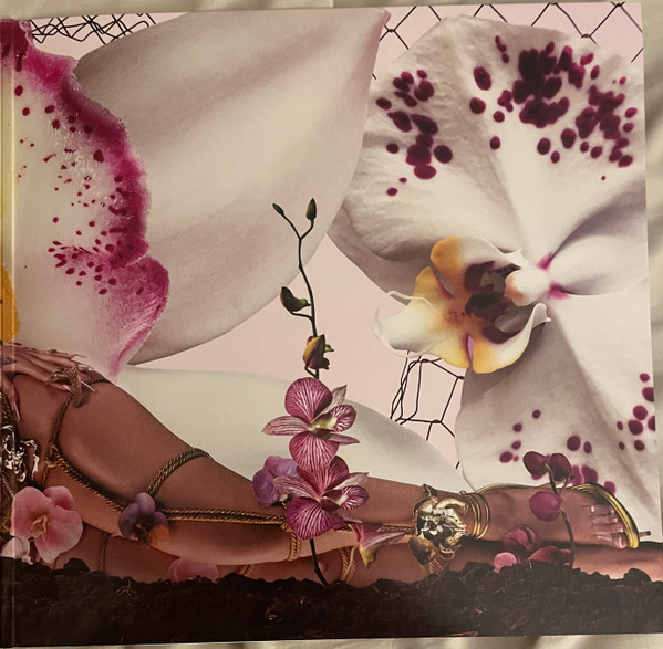 Kali Uchis - Orquídeas | Geffen Records (006024584698882) - 3 Kali Uchis - Orquídeas | Geffen Records (006024584698882) - 3