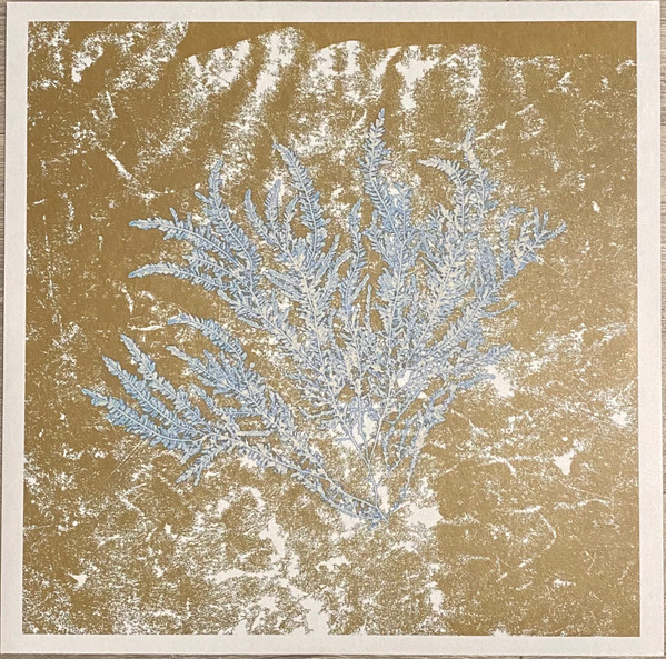 For Those Of You Who Have Never (And Also Those Who Have)