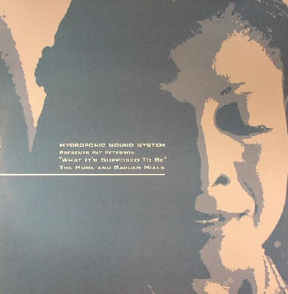 Hydroponic Sound System presents Pat Peterson - What It's Supposed To Be | Icon Recordings (ICON 004) Hydroponic Sound System presents Pat Peterson - What It's Supposed To Be | Icon Recordings (ICON 004)